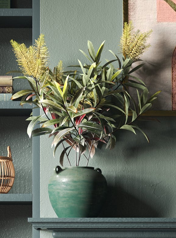 Potted plant on a shelf with a textured wall background