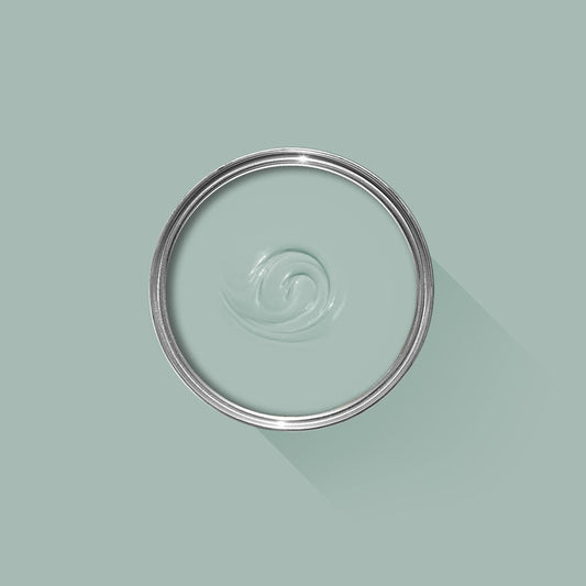 Clear glass lid with metal rim on a light green background