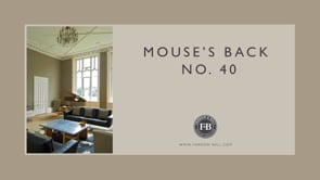 No. 40 Mouse's Back