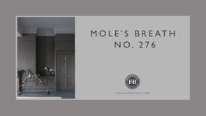 No. 276 Mole's Breath
