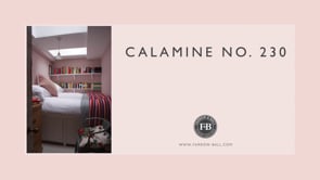 No. 230 Calamine