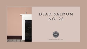 No. 28 Dead Salmon