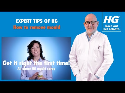 Do you have issues with mould at home? HG's expert tips will show how to eliminate mould in one go