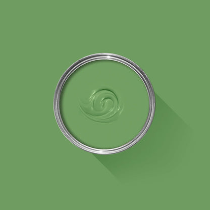 No. CB6 Raw Tomatillo