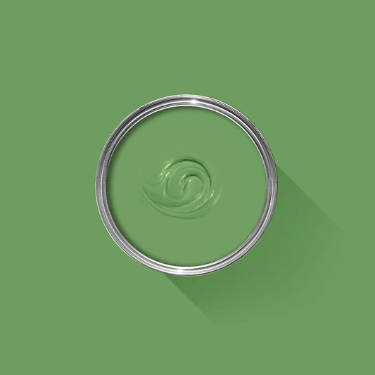 No. CB6 Raw Tomatillo